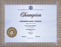 certificat championnat Tornado